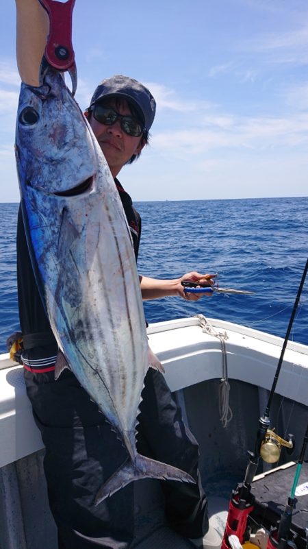 だて丸 釣果