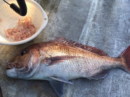 金栄丸 釣果