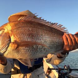 金栄丸 釣果