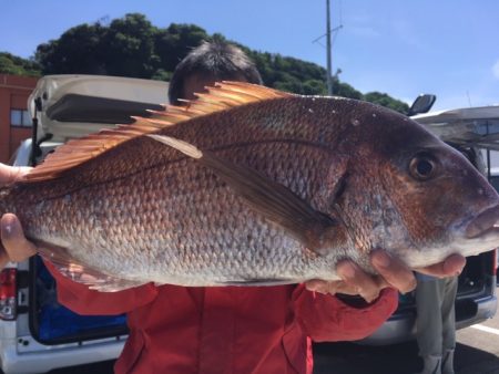 金栄丸 釣果