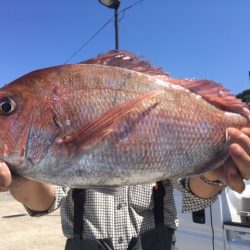 金栄丸 釣果