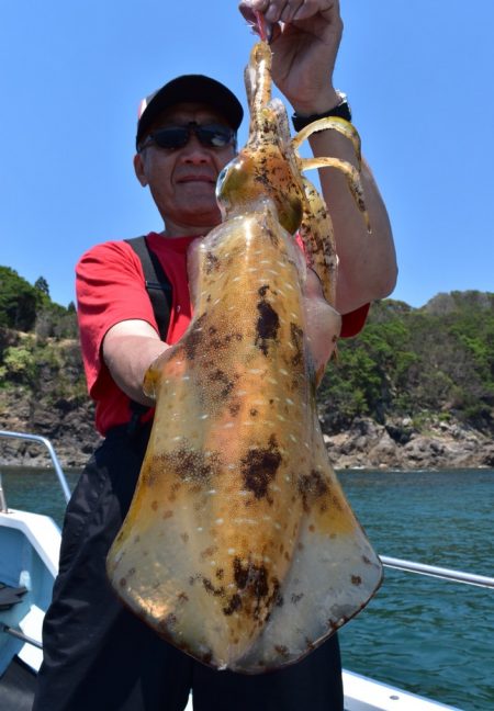 渡船屋たにぐち 釣果