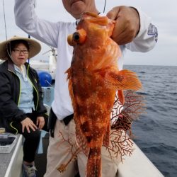 Soyamaru 釣果