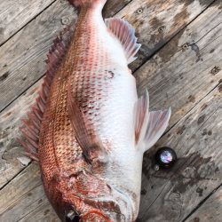 大雄丸 釣果