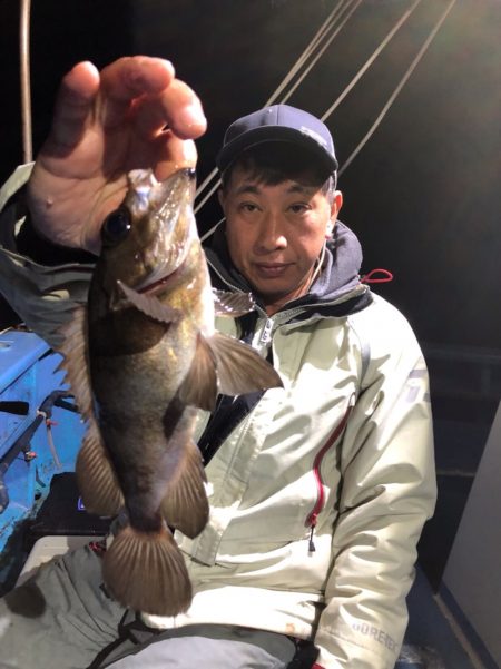 ヤザワ渡船 釣果