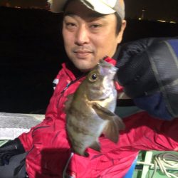 ヤザワ渡船 釣果