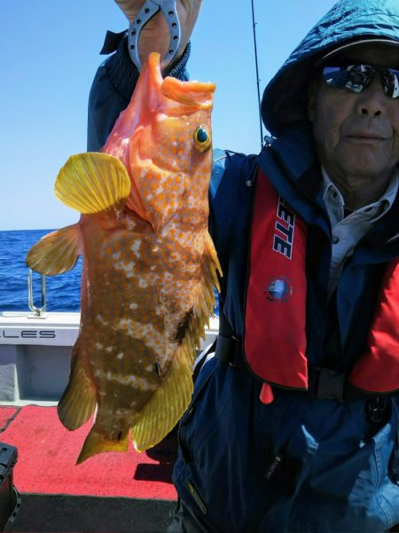 光生丸 釣果