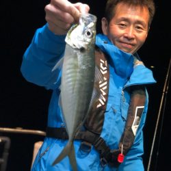 ＴＡＲＯＭＡＲＵ 釣果