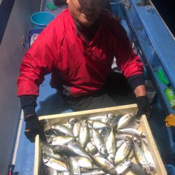 ヤザワ渡船 釣果