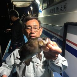 ヤザワ渡船 釣果