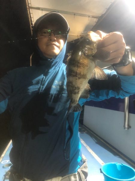 ヤザワ渡船 釣果