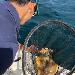 「LaGooN」蒼陽丸 日和号　 釣果