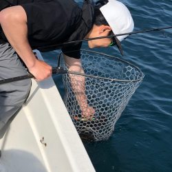 「LaGooN」蒼陽丸 日和号　 釣果