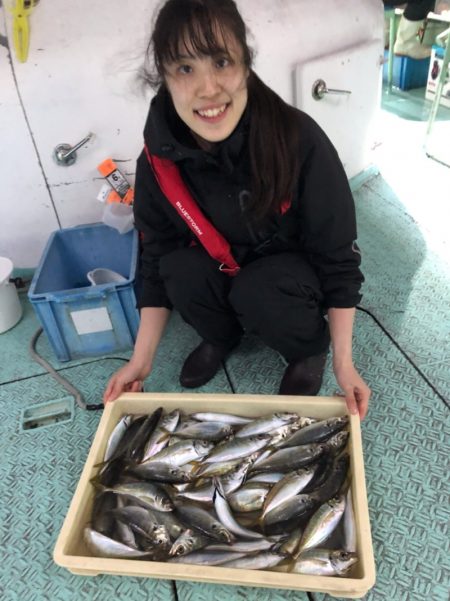 ヤザワ渡船 釣果