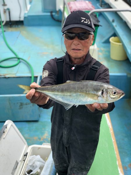 丸万釣船 釣果