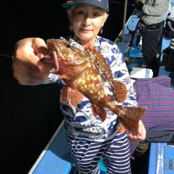 ヤザワ渡船 釣果