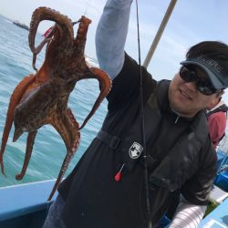 ヤザワ渡船 釣果