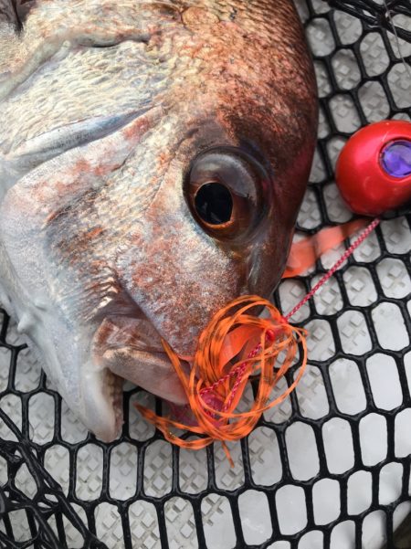 龍神丸（鹿児島） 釣果