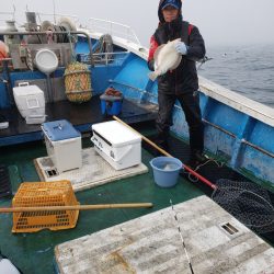 芳陽丸 釣果