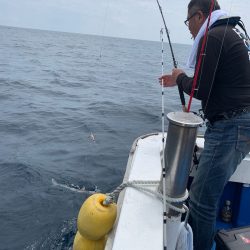 釣鯛洋 釣果