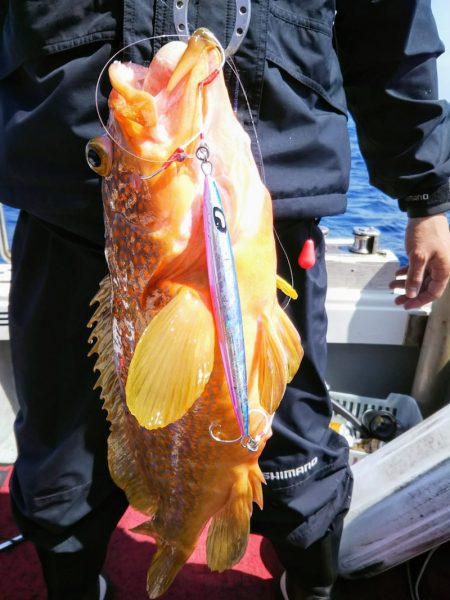 光生丸 釣果