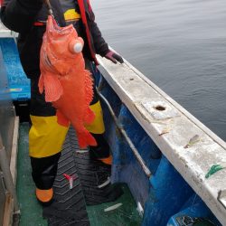 芳陽丸 釣果