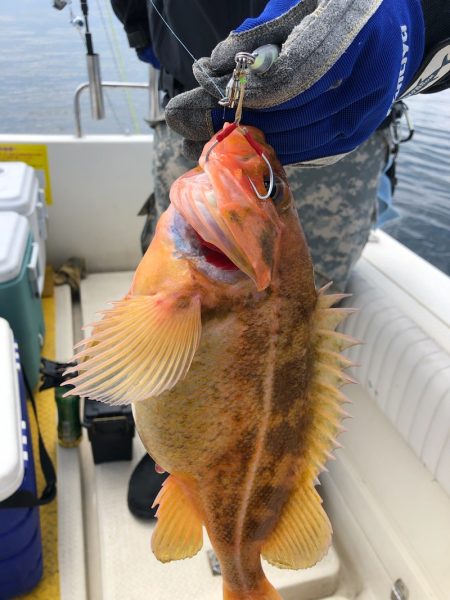 海友丸 釣果