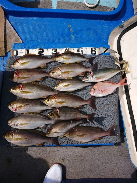 清和丸 釣果