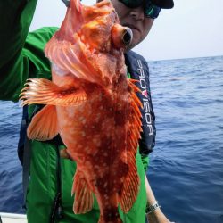 光生丸 釣果