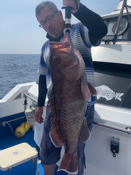 釣鯛洋 釣果