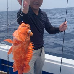 釣鯛洋 釣果