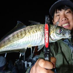 シースナイパー海龍 釣果