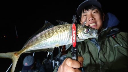 シースナイパー海龍 釣果