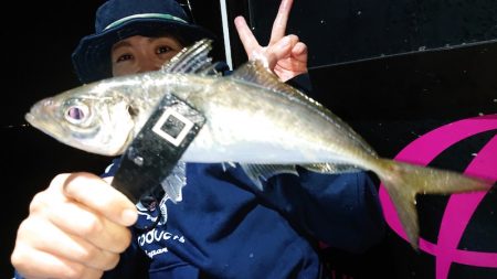 シースナイパー海龍 釣果