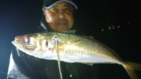 シースナイパー海龍 釣果