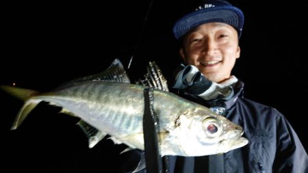 シースナイパー海龍 釣果