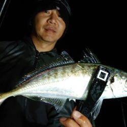 シースナイパー海龍 釣果