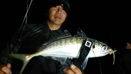 シースナイパー海龍 釣果