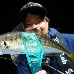 シースナイパー海龍 釣果