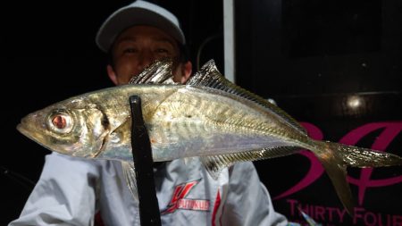 シースナイパー海龍 釣果