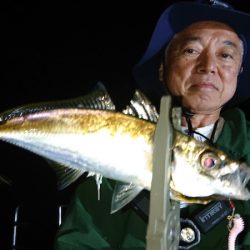 シースナイパー海龍 釣果