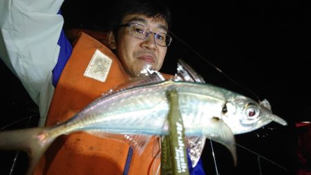 シースナイパー海龍 釣果