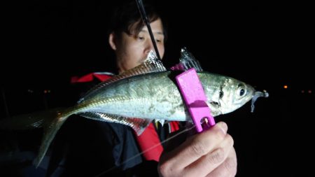 シースナイパー海龍 釣果