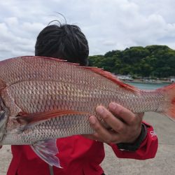 第三共栄丸 釣果