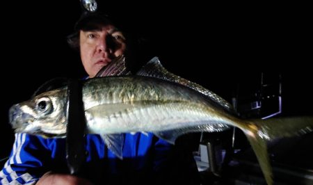 シースナイパー海龍 釣果