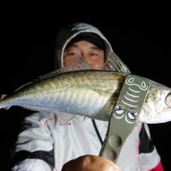 シースナイパー海龍 釣果