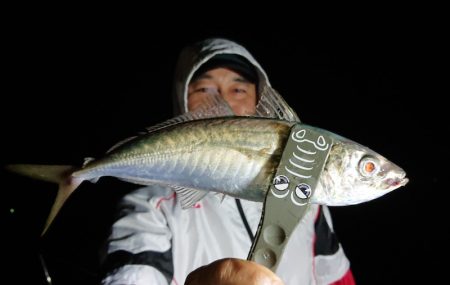 シースナイパー海龍 釣果