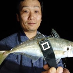 シースナイパー海龍 釣果