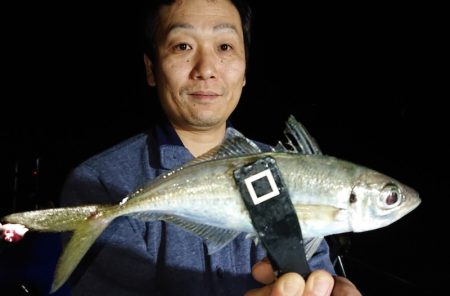 シースナイパー海龍 釣果