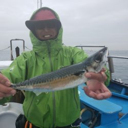 丸万釣船 釣果